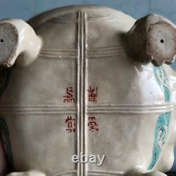 Japanese Satsuma tea kettle, rare Minogame Turtle form, signed Makuzu Koz