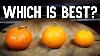 Mandarin Comparison Owari Satsuma Vs Vietnamese Flying Saucer Vs Clementine Weird Fruit Explorer
